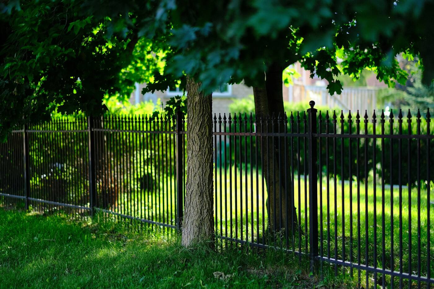 A black metal picket fence along a shaded lawn