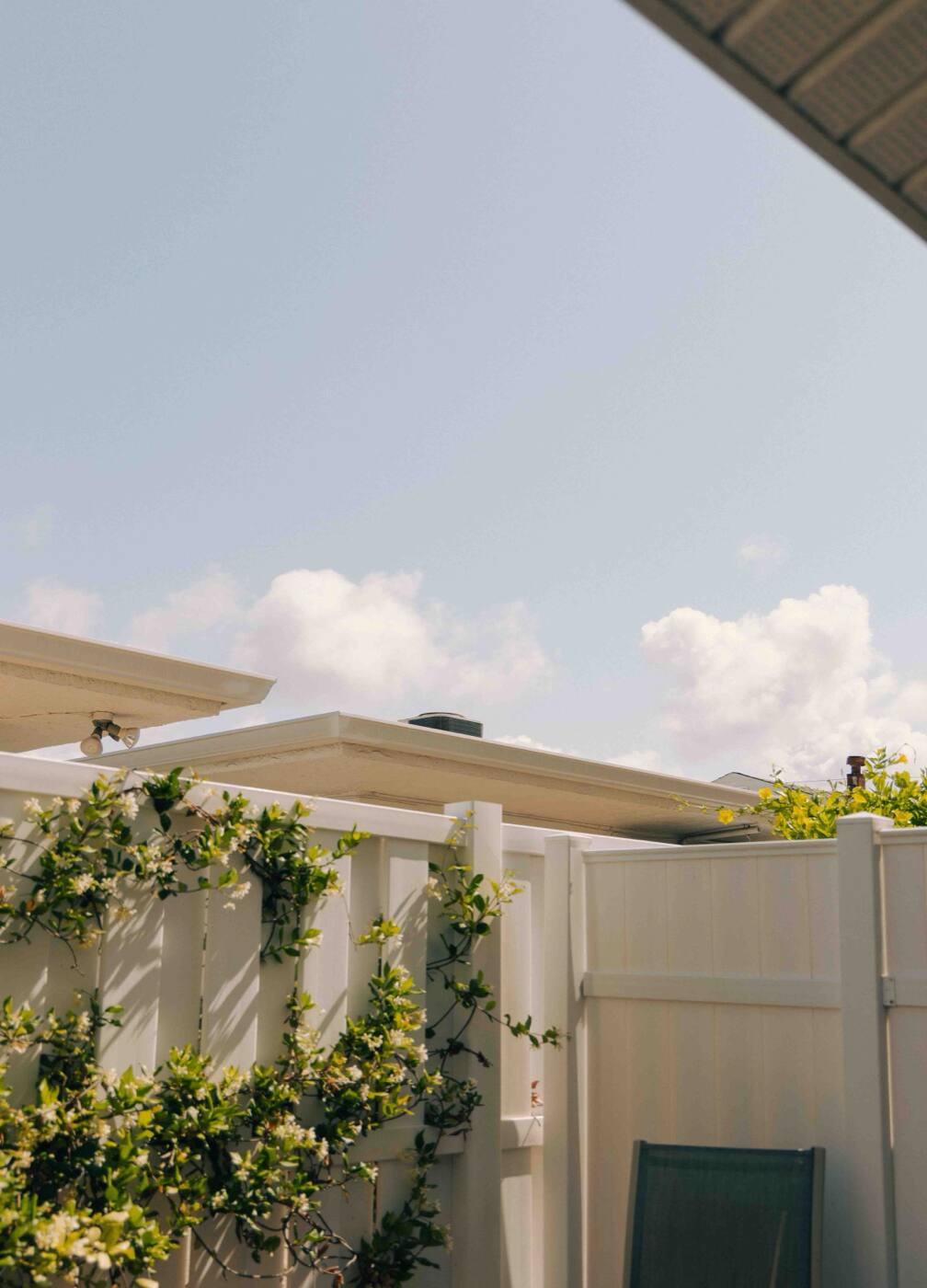 A white vinyl privacy fence with flowering vines climbing it